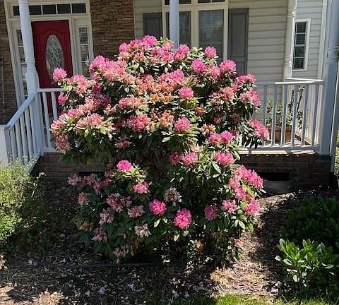 5th image of 1768 Williamsburg Dr