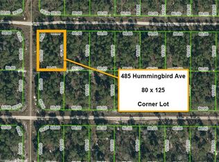 485 Hummingbird Ave, Sebring, FL 33872