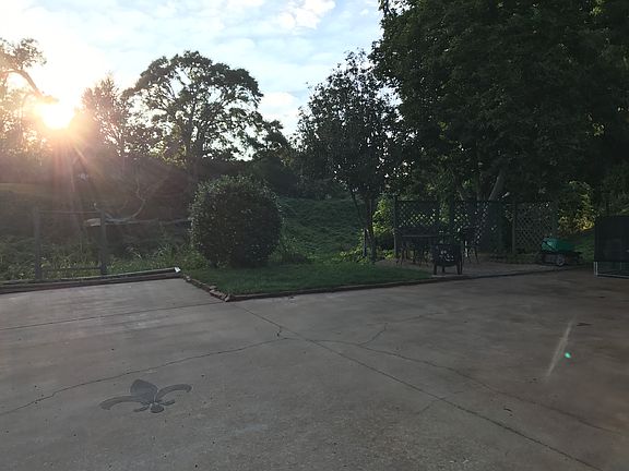 Backyard area