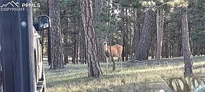 5th image of 13395 Frank Rd