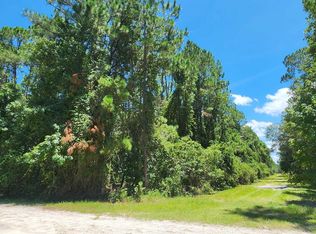 Helen Ave, Georgetown, FL 32139