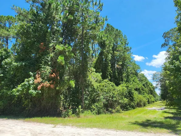 Helen Ave, Georgetown, FL 32139