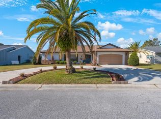 12911 Spicebox Way, Hudson, FL 34667