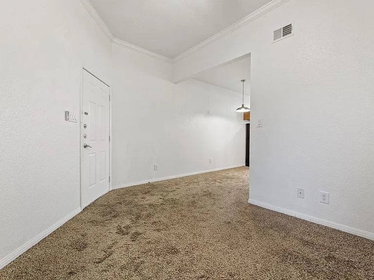 402 Nova Apartments — Photo 7