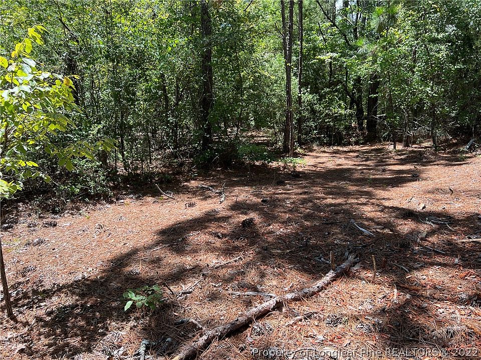 2nd image of State Highway 73