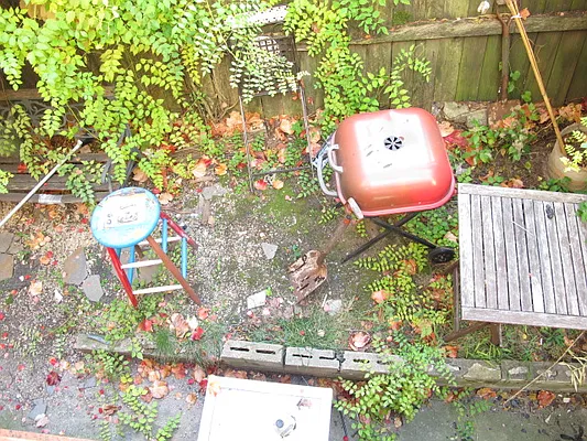 Rented by Residents Team | media 21