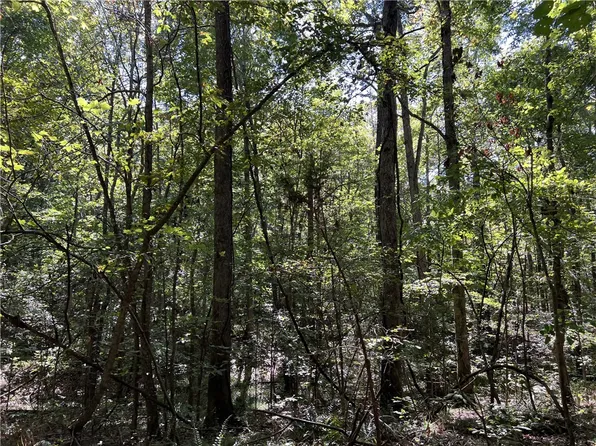 Meadow Creek Dr, Harrison, AR 72601