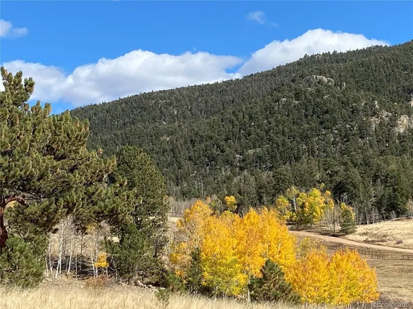 215 Topaz Road, Lake George, CO 80827