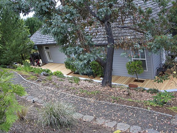 Backyard landscape & deck