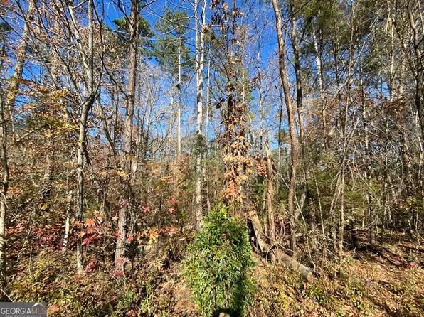 85 Peninsula Point, Martin, GA 30557