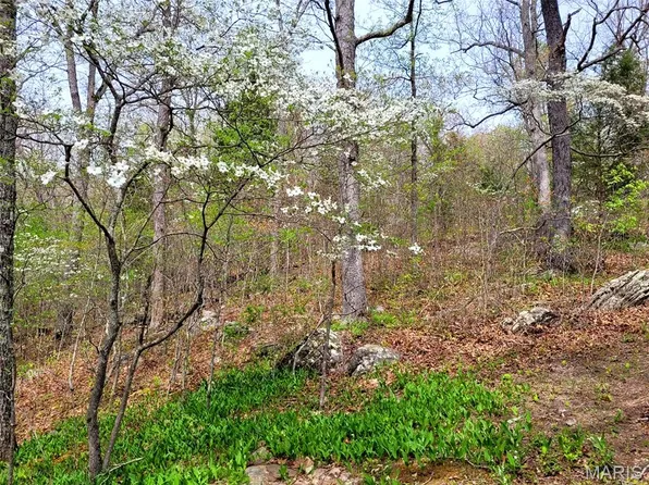 0 Piazza Rd, Saint James, MO 65559