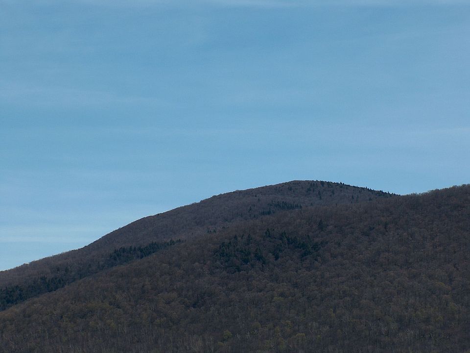 Mt. Fitch