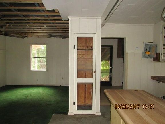 eagle brian grass hill spring 238