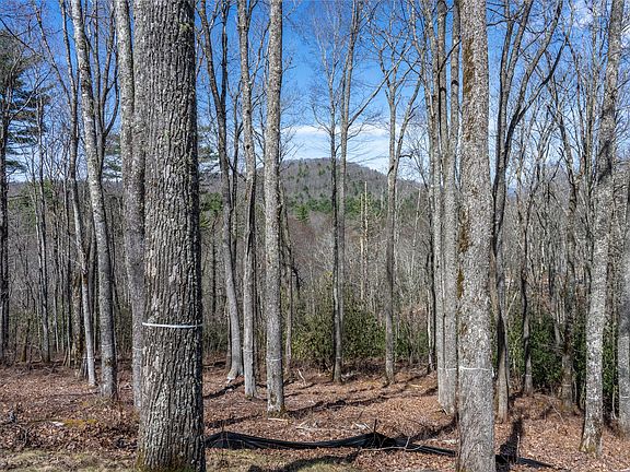 4th image of C20 Roaming Road