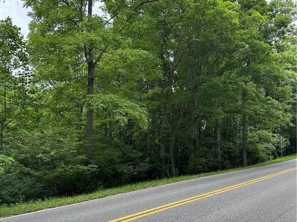 Fries Road Foxfire, Galax, VA 24333