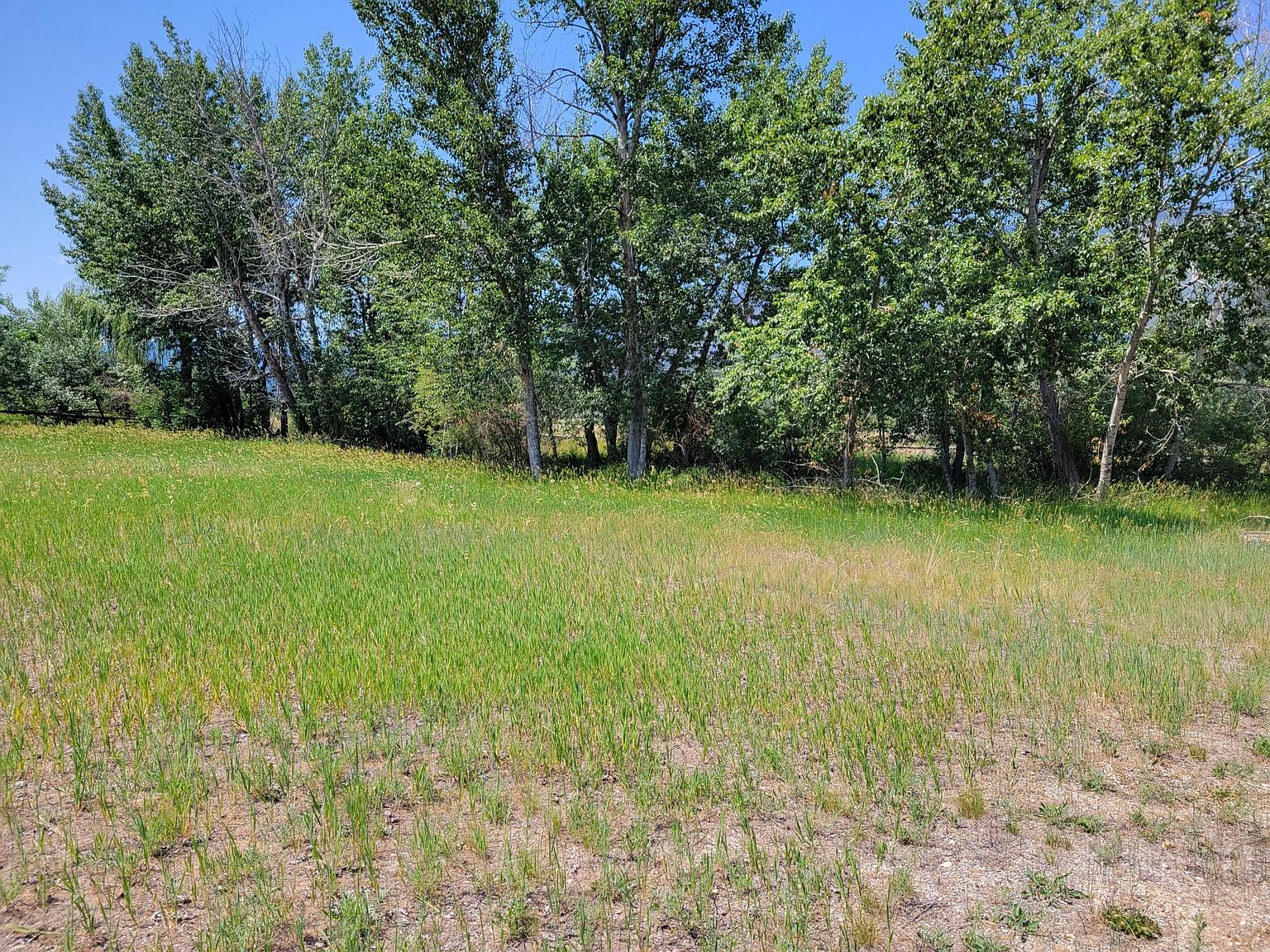 1254 Us Highway 93 S, Hamilton, MT 59840 Zillow