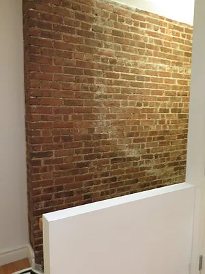 Rented by Bohemia Realty Group | media 37