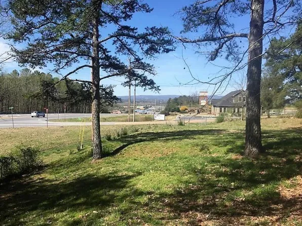 621 Dyer Bridge Rd, Ringgold, GA 30736