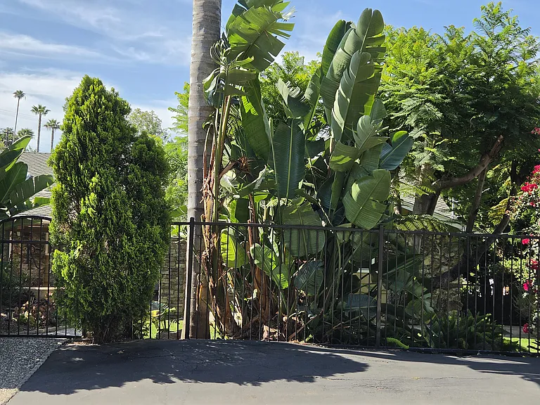 1037 Alta Vista Dr — Photo 87