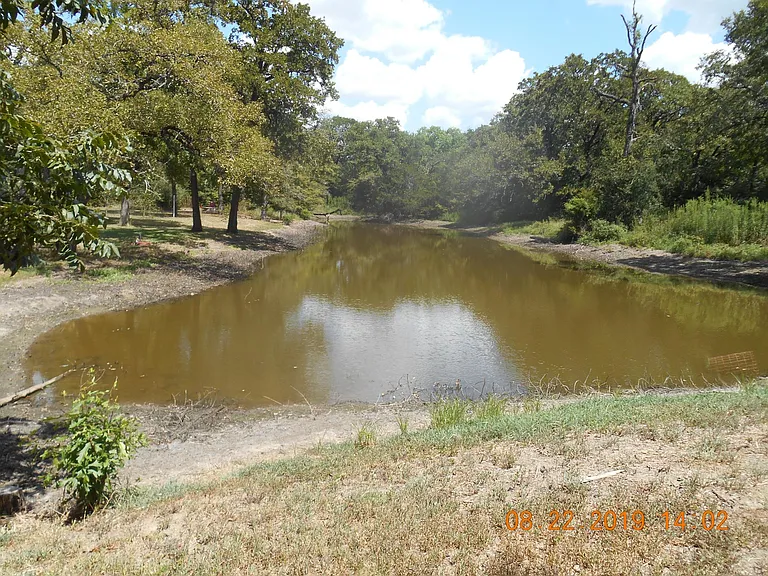 Pond area