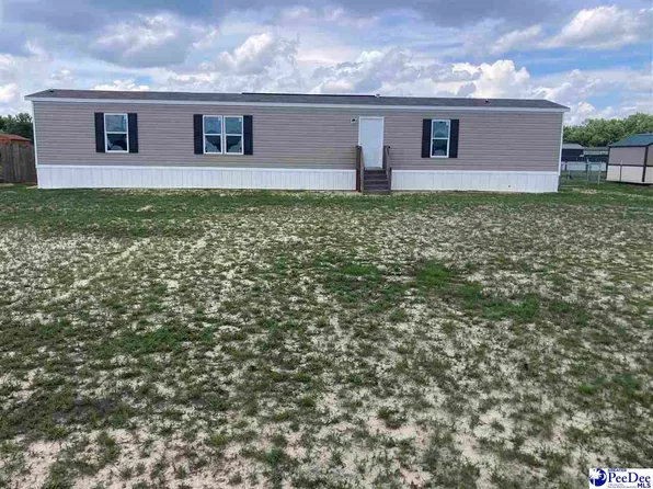 338 Briarpatch Ln, Sellers, SC 29592