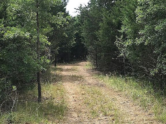 New / clean trails