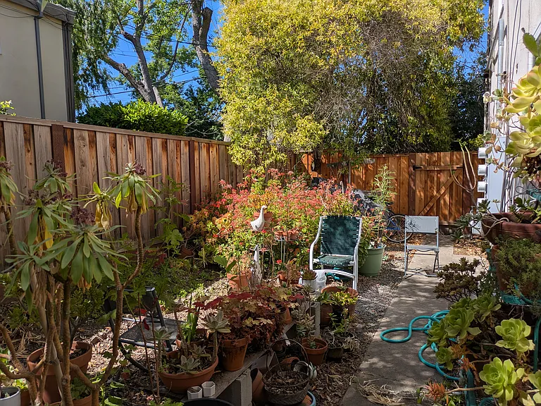 2390 Williams St #4 — Photo 40