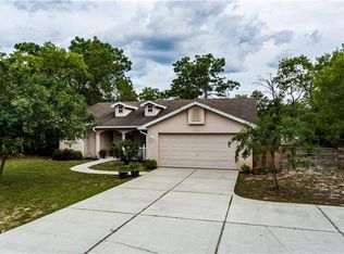 11170 Centralia Rd, Weeki Wachee, FL 34614