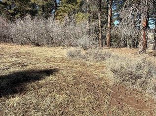 777 Monument Ave, Pagosa Springs, CO 81147