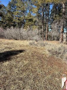 777 Monument Avenue, Pagosa Springs, CO, 81147