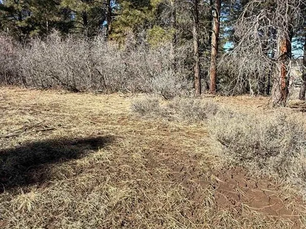 777 Monument Avenue, Pagosa Springs, CO 81147