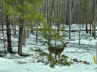 On Yellow Birch Rd, Eagle River, WI 54521