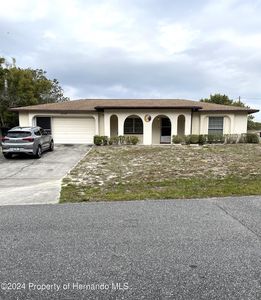 11115 Claymore St, Spring Hill, FL, 34609