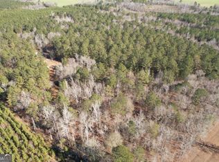 675 Jackson Rd, Wrightsville, GA 31096