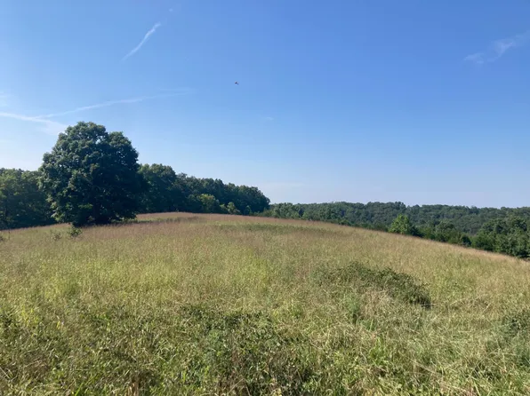 0 Osceola Rd, Bruner, MO 65620