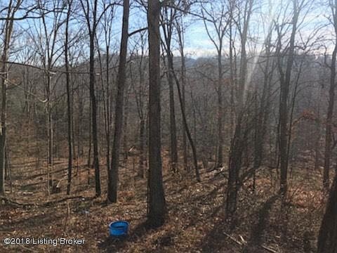 2nd image of 11440 Peonia Rd