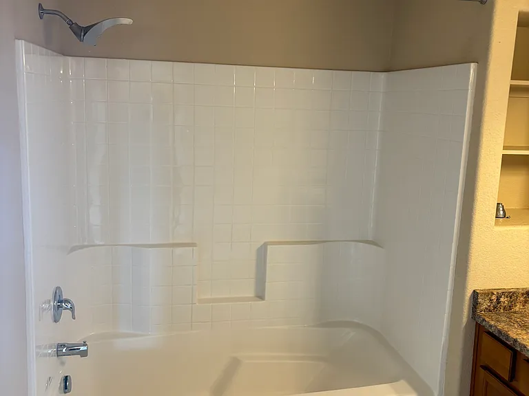 Master Bathroom Shower