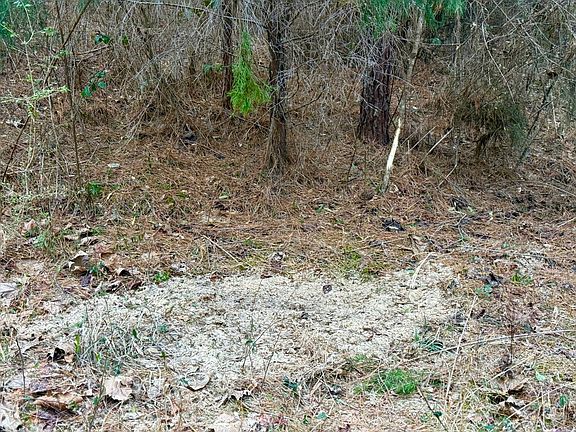 3rd image of 0 Amityville Rd #1