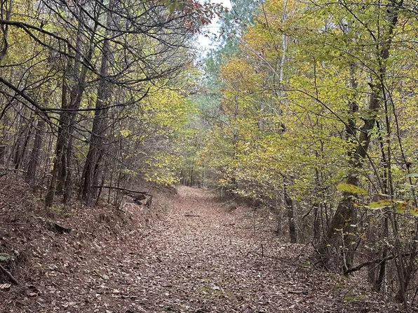 316 Arbor Dr Lot 13, Linden, TN 37096