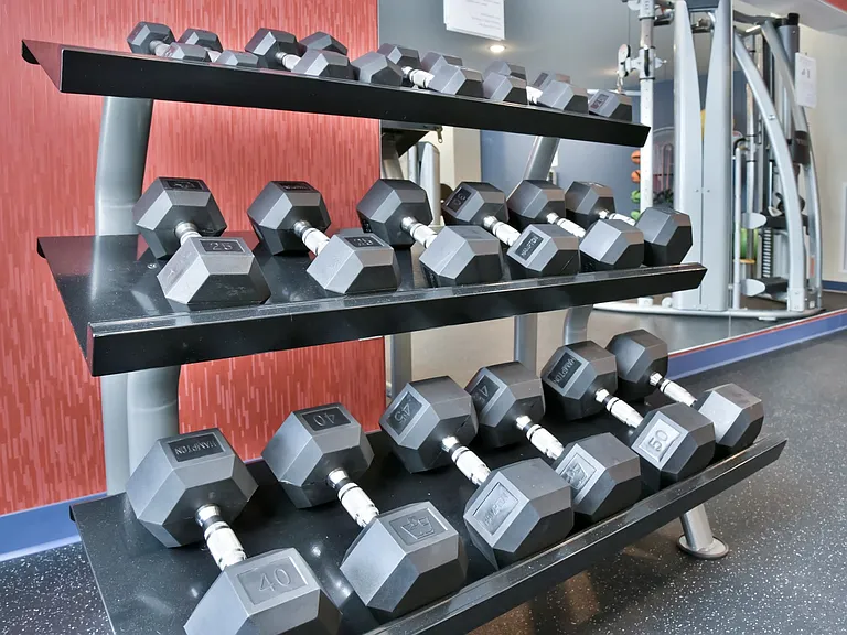 Free Weights In Gym