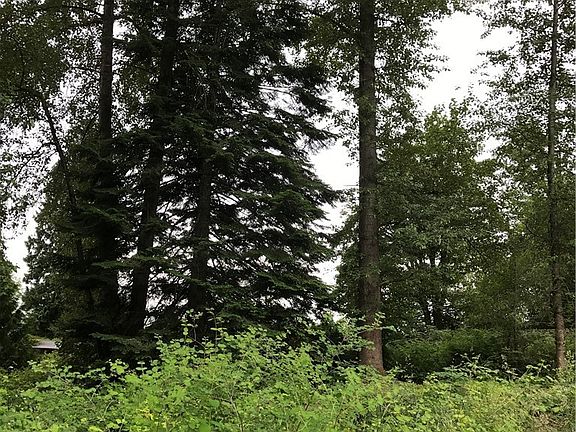 5th image of 282 136th Ave SE