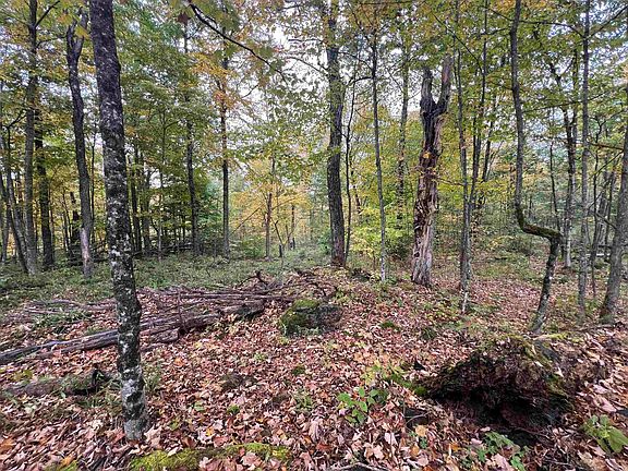 2nd image of Glenmeal Rd