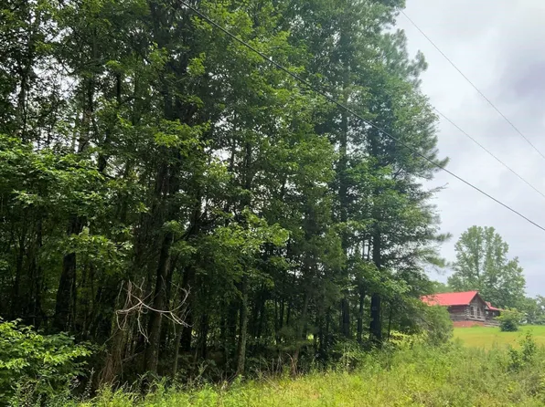 0 Melton Rd, Wildersville, TN 38388