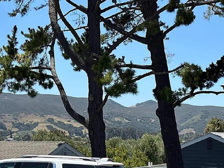 206 Loma Bonita Dr — Photo 24