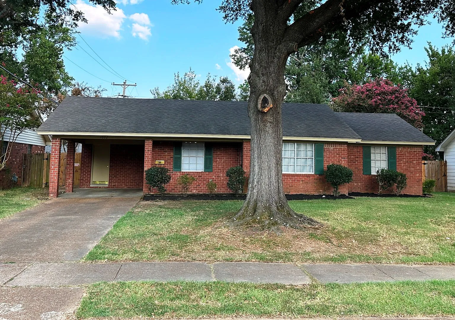 Charming Freshly Painted 3 BR / 1.5 BA Home in East Memphis Near Sea Isle Park — Photo 3