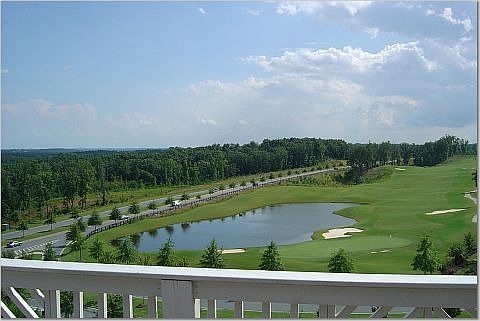 View from Back of House