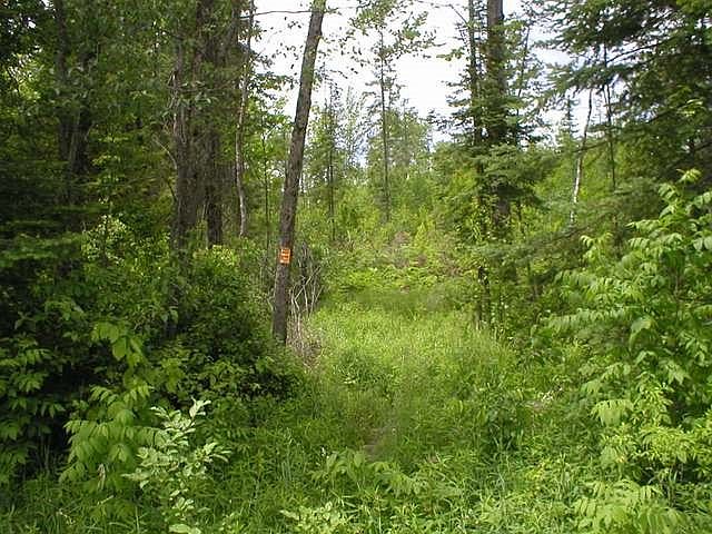 1st image of N Clare Ave