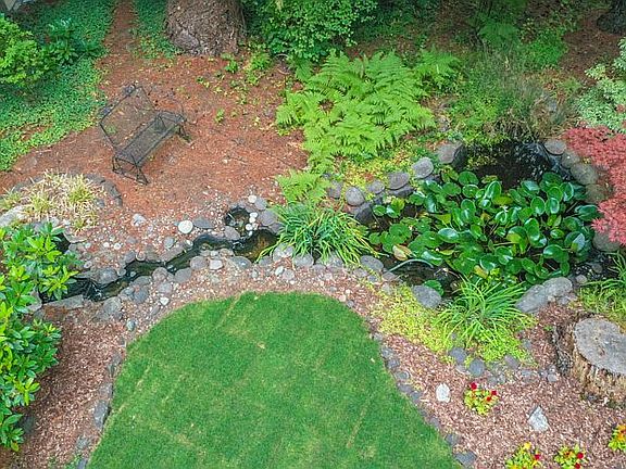 Pond and stream