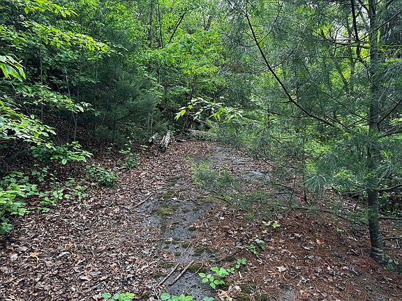 4th image of 6 Pounding Mill Loop
