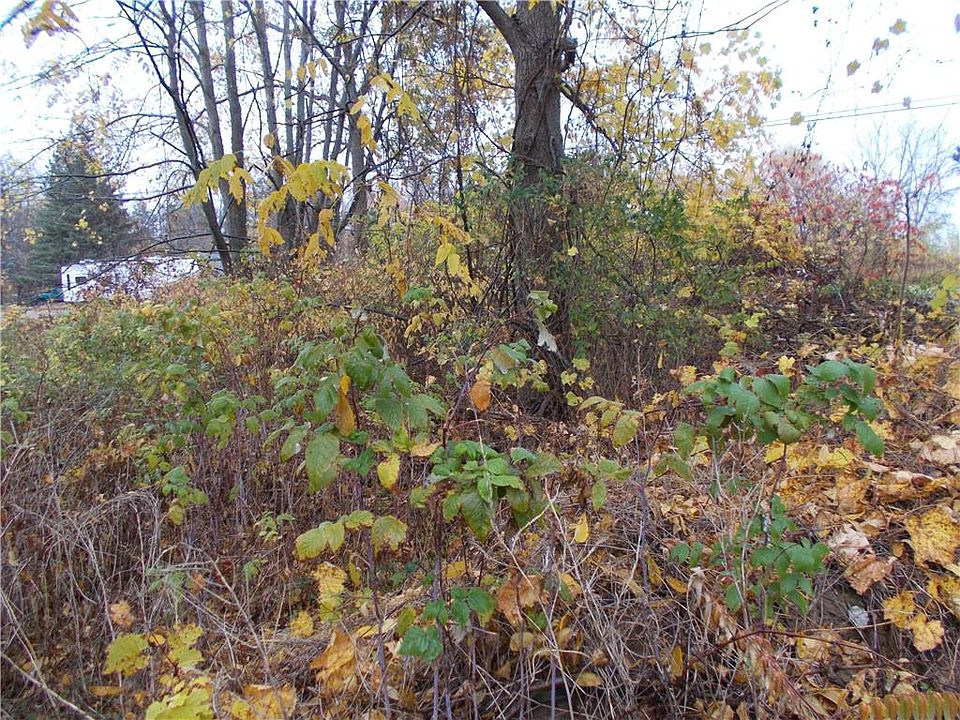 2nd image of 117 Roths Cove Rd